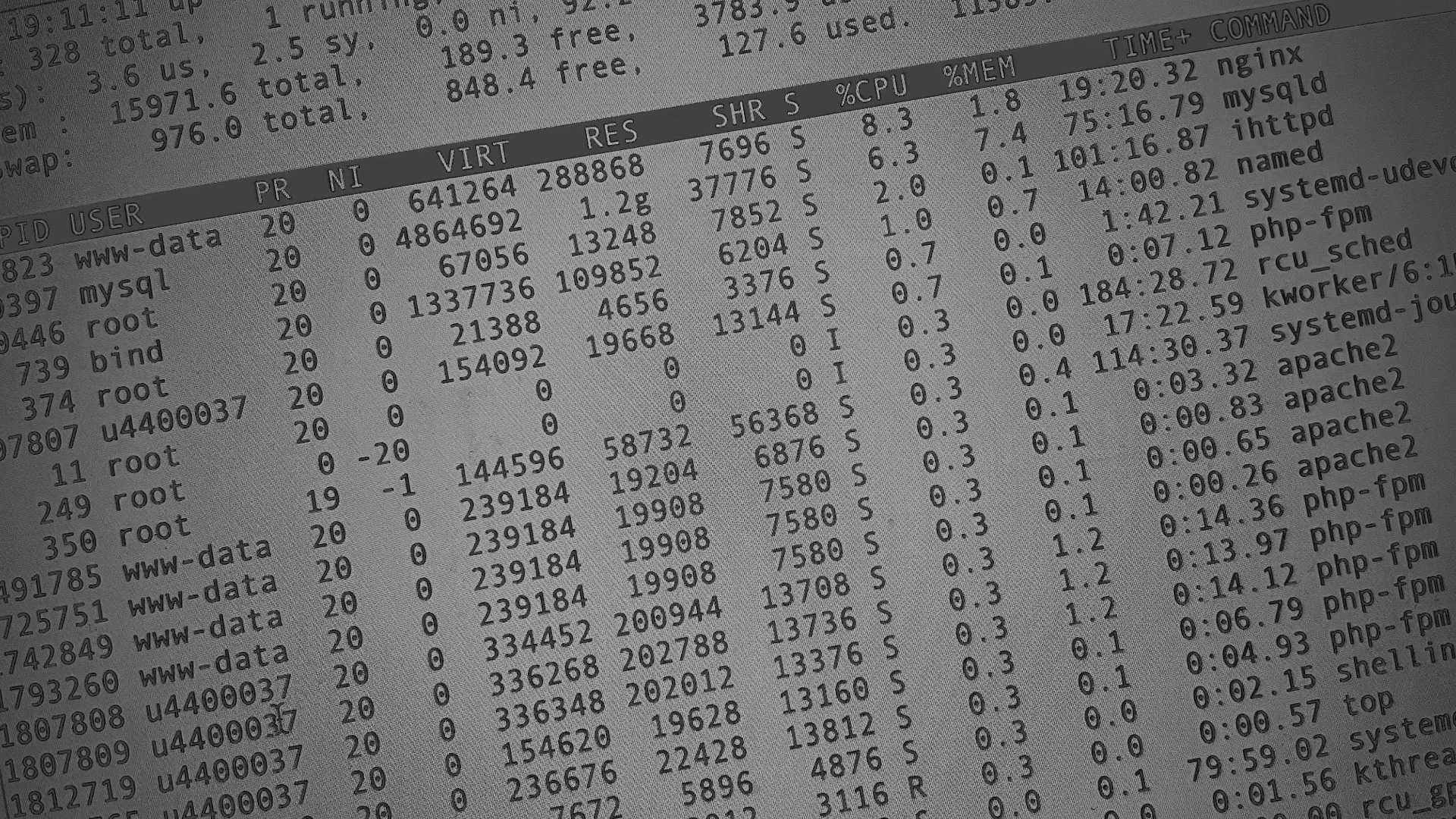 Настройка сервера в Николаевске Настройка сервера в Николаевске