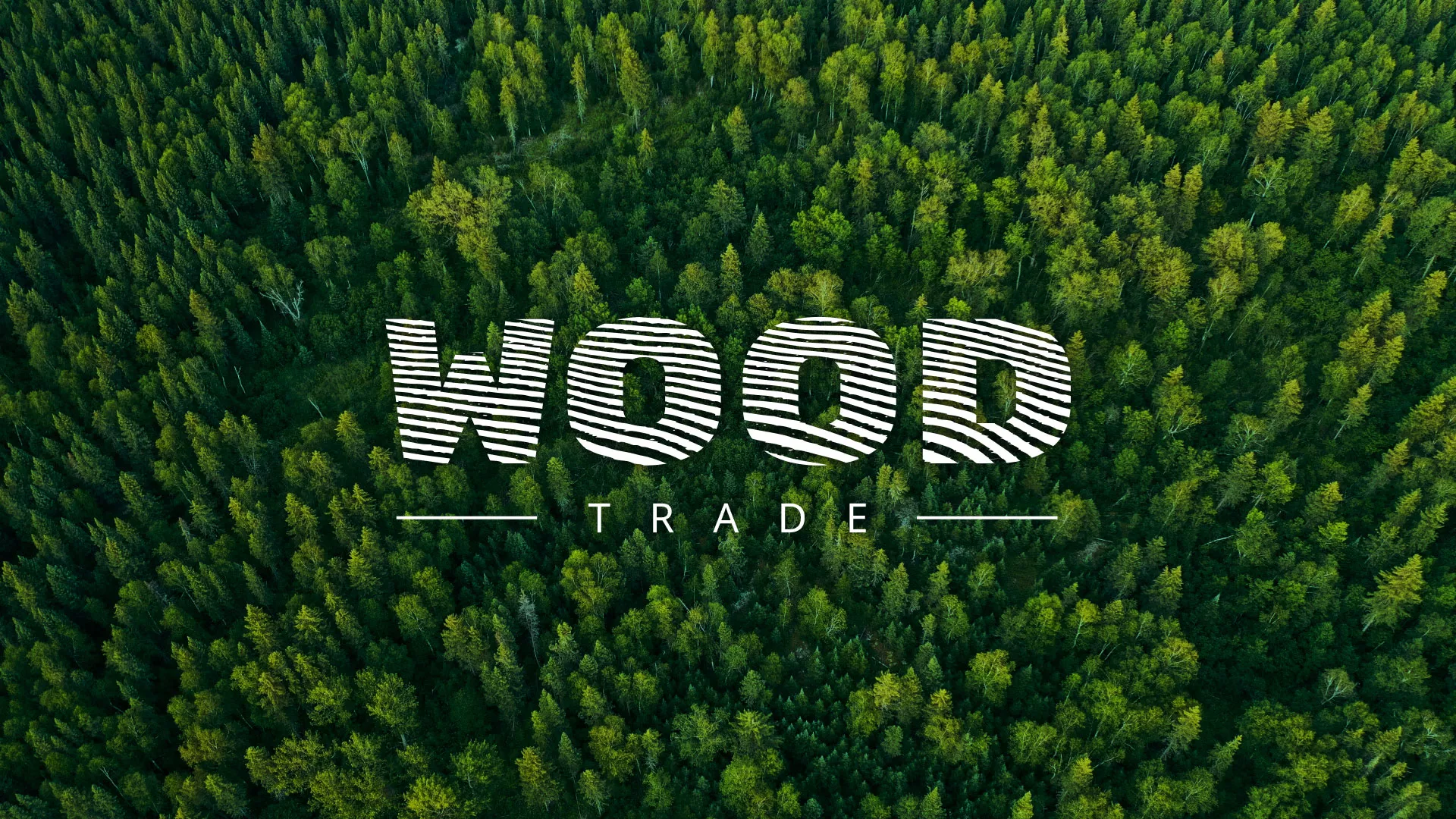 Разработка интернет-магазина компании «Wood Trade» в Николаевске