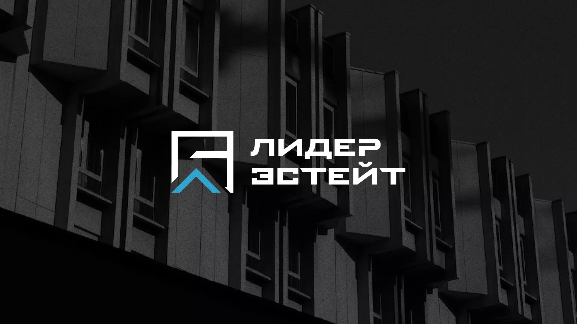 Разработка логотипа агентства недвижимости «Лидер Эстейт» в Николаевске